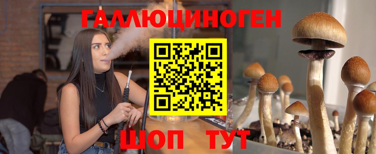 Донской  Псилоцибиновые грибы Psilocybine cubensis  Псилоцибиновые грибы MAGIC MUSHROOMS  Вход с VPN 